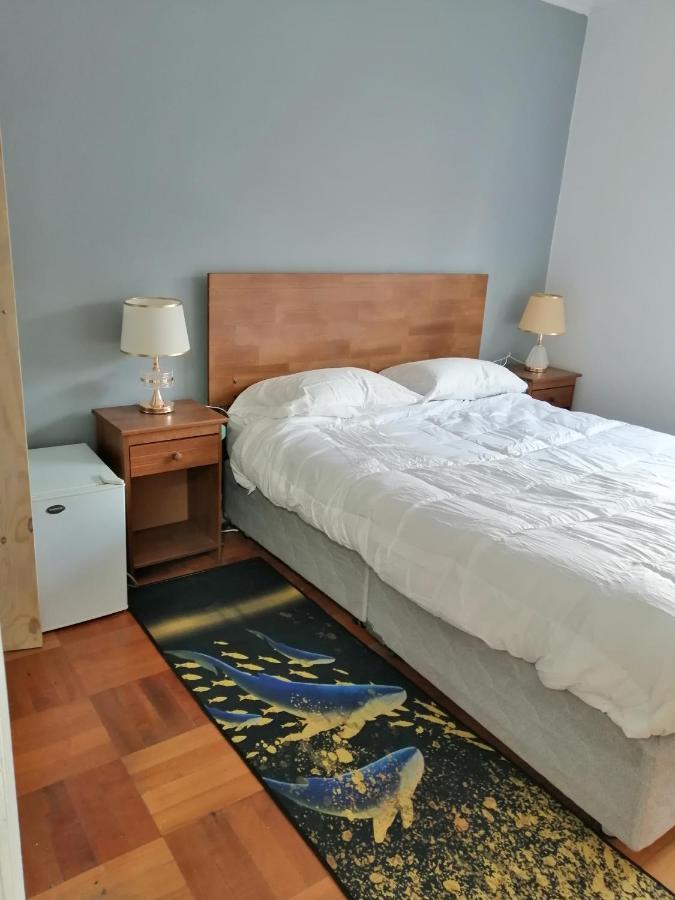Hostal Suzi سانتياغو المظهر الخارجي الصورة
